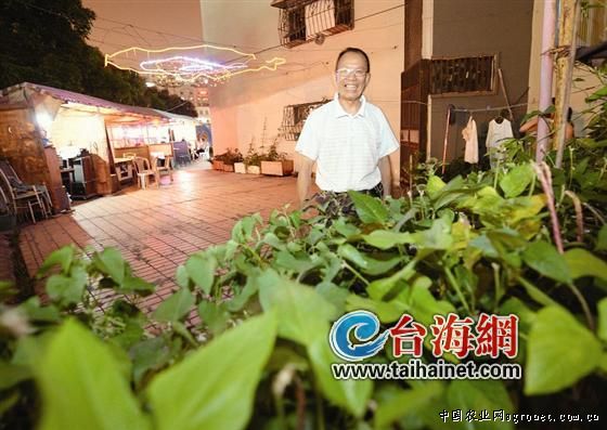 瑞昌山药包装盒