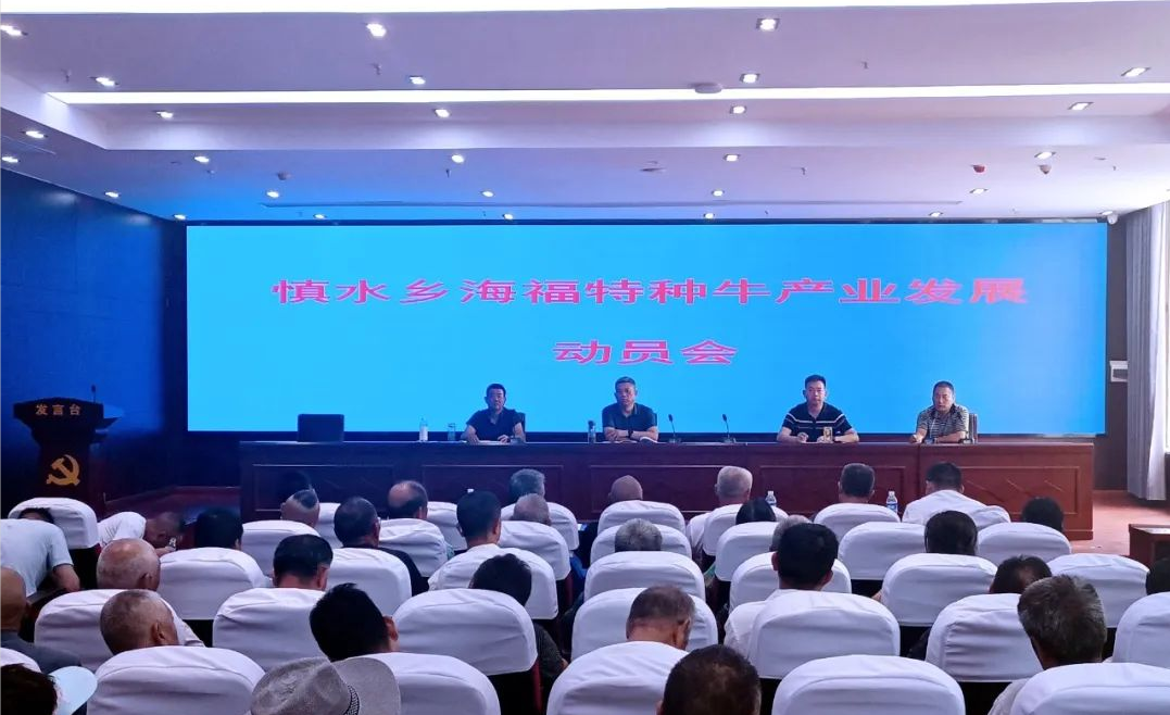 慎水乡：抓住肉牛养殖新机遇 念好“产业兴旺”致富经