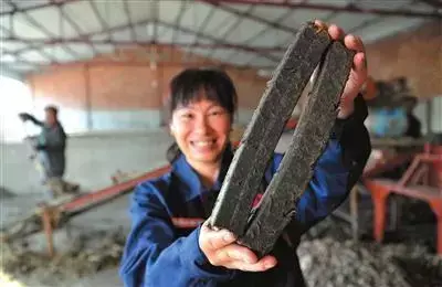 废弃秸秆种植致富_废弃秸秆的利用_致富秸秆废弃种植怎么办