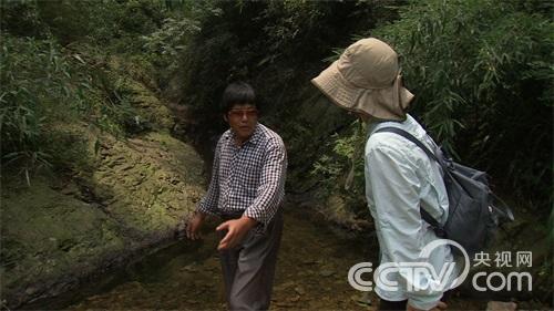 [致富经]虫子改变的泥鳅财富(20150810)