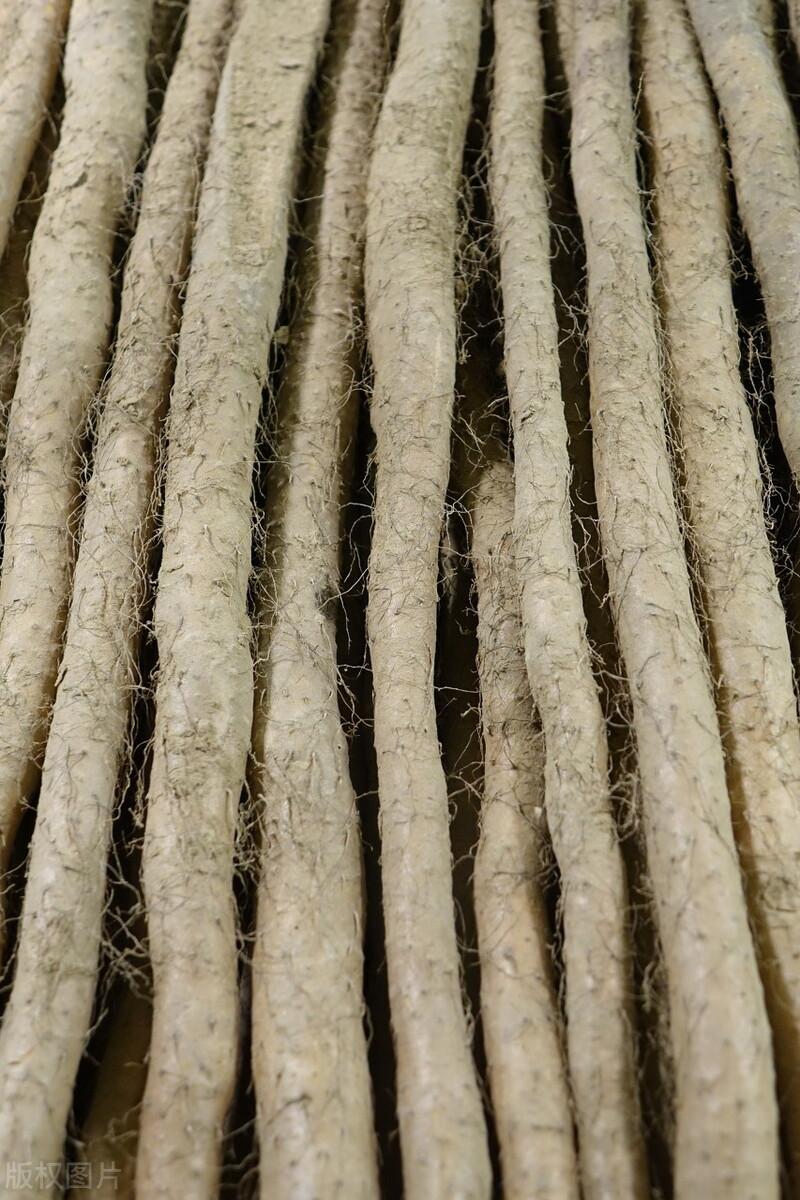 最新种植山药的技术_山药种植技术视频2018_山药种植最新技术有哪些