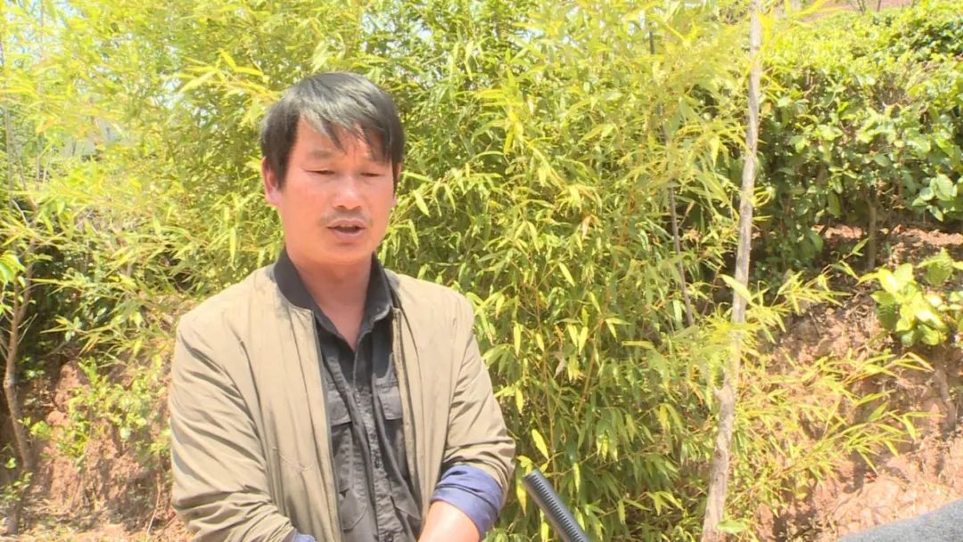 东北黑猪养殖基地购买黑猪_东北黑猪养殖致富_东北养黑猪哪个品种最好