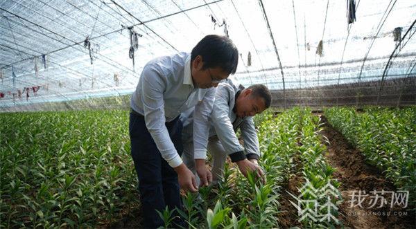 致富经养殖狗_致富项目养狗_致富经养狗成功例子