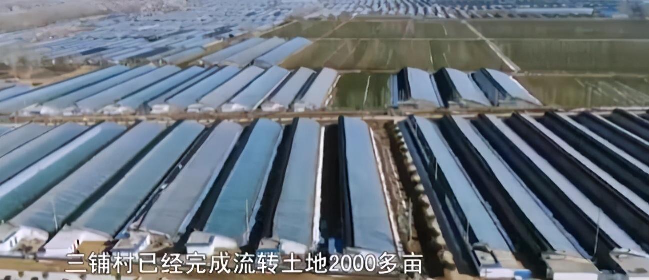 致富经养殖狗_致富经养狗成功例子_致富项目养狗
