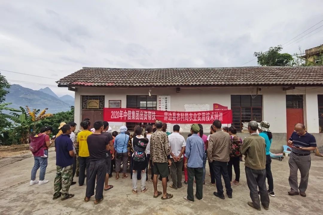 微型鸡养殖视频_养殖鸡致富经视频_微型鸡养殖致富