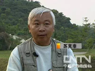 陕西杰出青年企业家_外企高管陕西创业致富经_陕西籍在外企业家