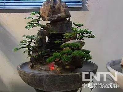 陕西杰出青年企业家_陕西籍在外企业家_外企高管陕西创业致富经