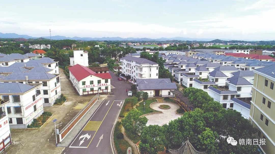 农民种植蔬菜致富_致富蔬菜种植农民图片_种蔬菜致富经