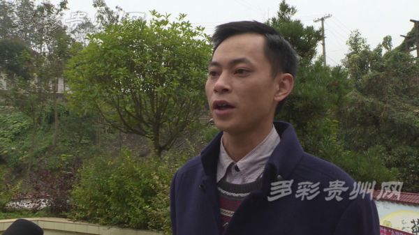 致富经果树种植视频_致富经果树_种植经果林走上致富路