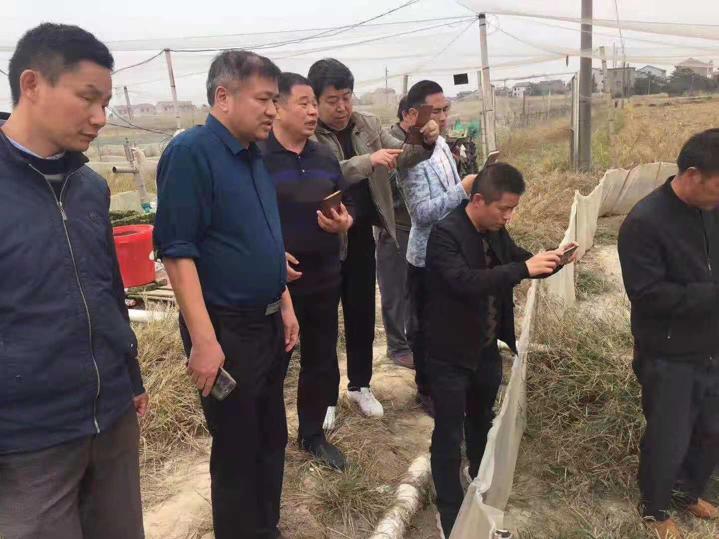 青蛀养殖技术视频 39_青虫的养殖技术_青虫养殖和食用
