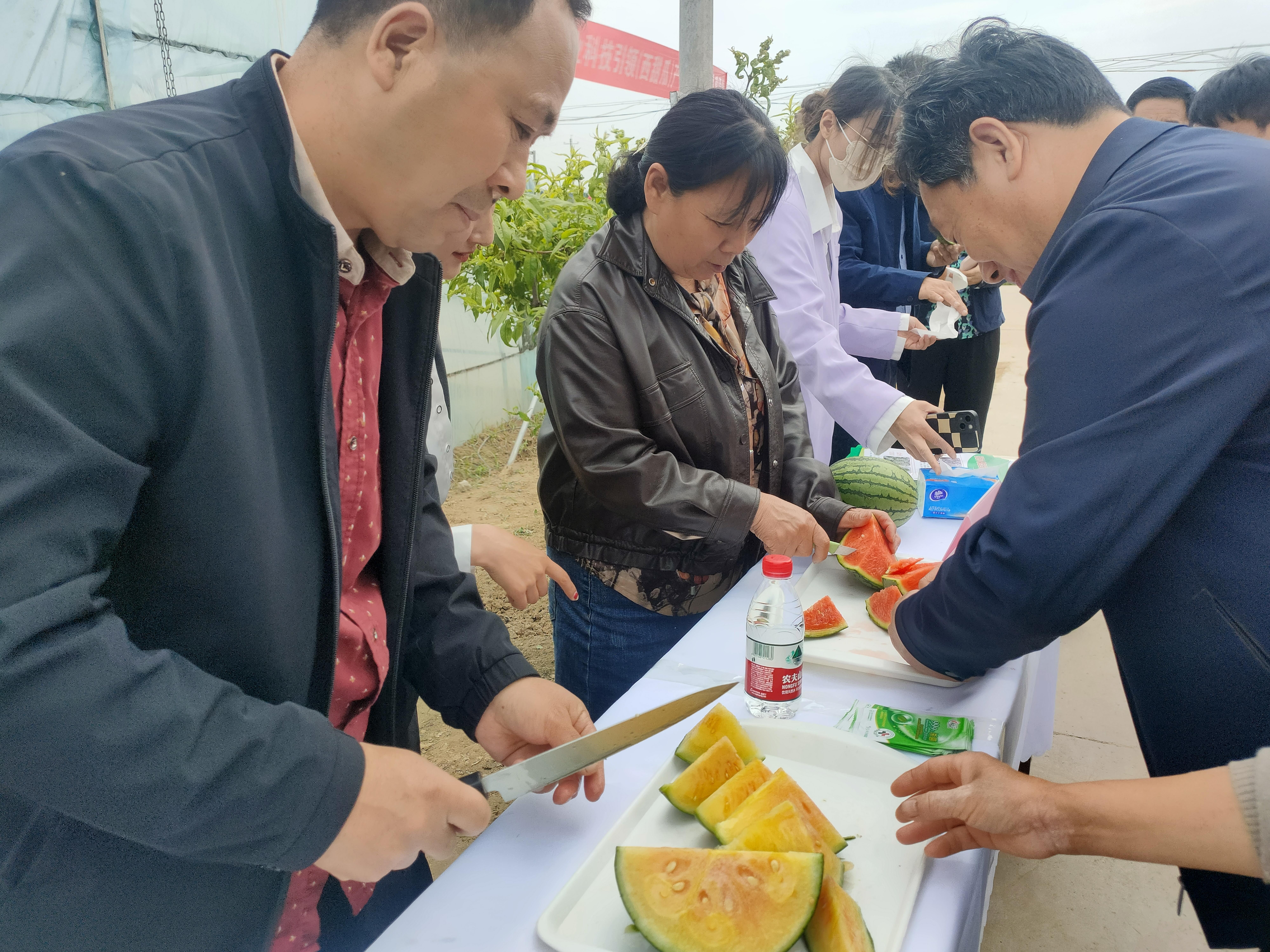 西瓜收益高 种植有诀窍
