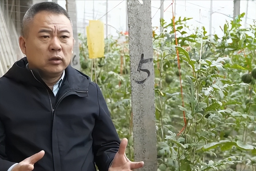 西瓜种植铺就致富路_农业种植致富项目西瓜_西瓜种植致富经