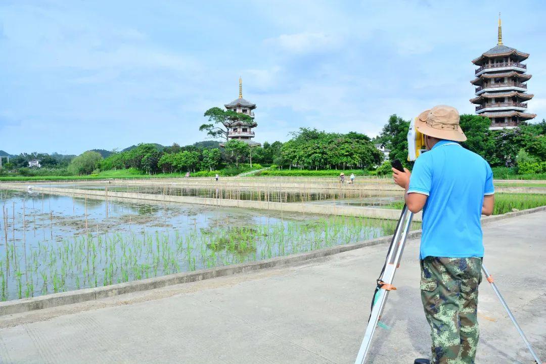 种植彩稻致富_稻草致富_种植彩稻的成本与利润