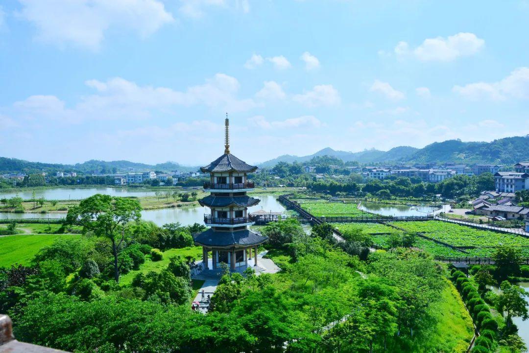 种植彩稻的成本与利润_种植彩稻致富_稻草致富