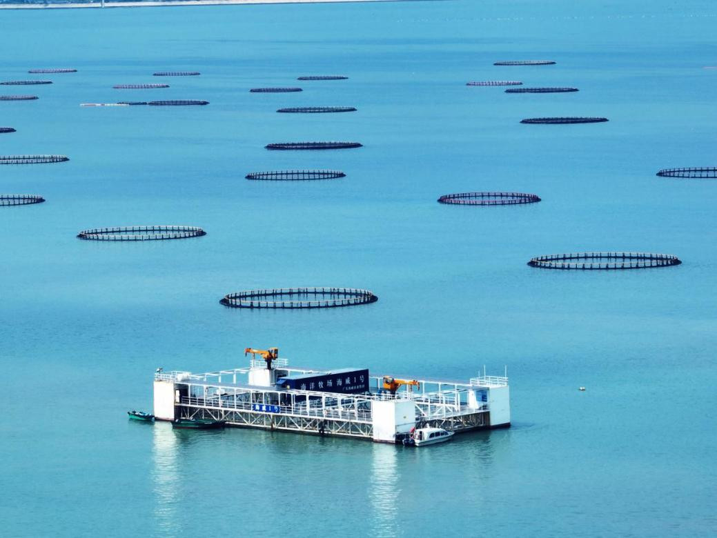 向海而兴！湛江数字乡村建设谱新篇
