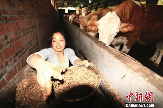 残疾人养殖团队_残疾致富励志养殖人的句子_残疾人养殖励志致富经