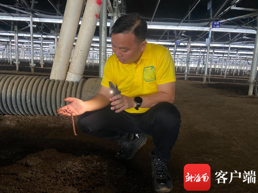 央视致富经2020年蚯蚓_致富经养蚯蚓全部视频_致富经蚯蚓养殖视频播放