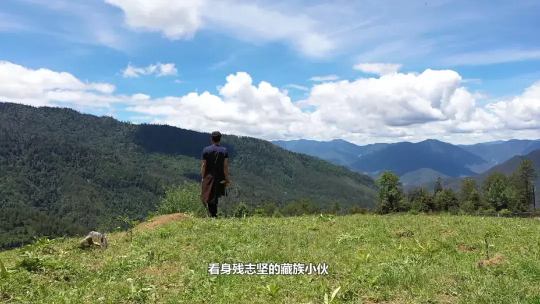 残疾人养殖励志致富经_残疾人养殖创业事迹_致富经残疾人养猪视频