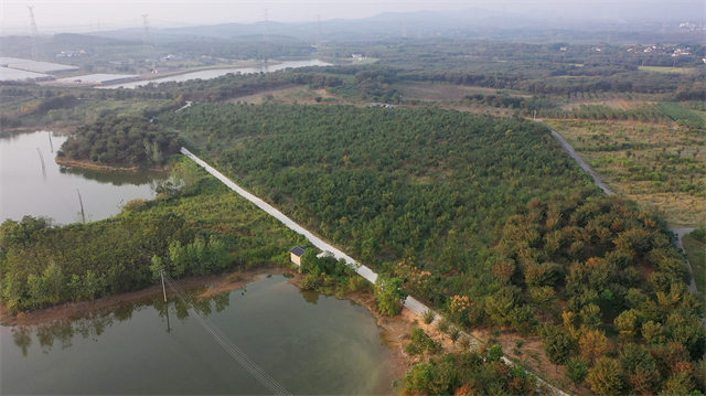 常州致富种植园地址_常州种植致富_常州主要种植什么