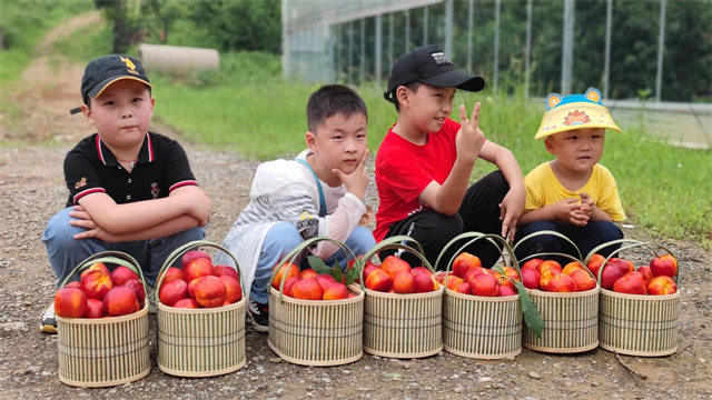 常州致富种植园地址_常州主要种植什么_常州种植致富