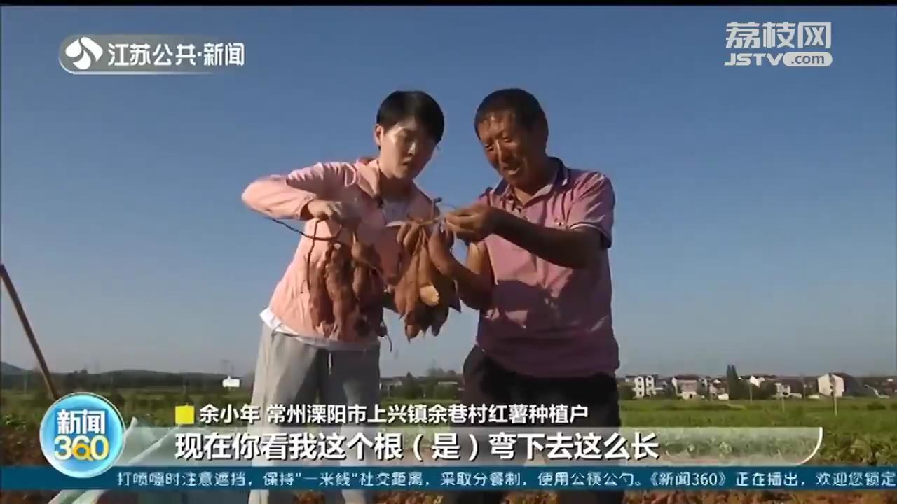 常州致富种植园地址_常州种地的多不多_常州种植致富