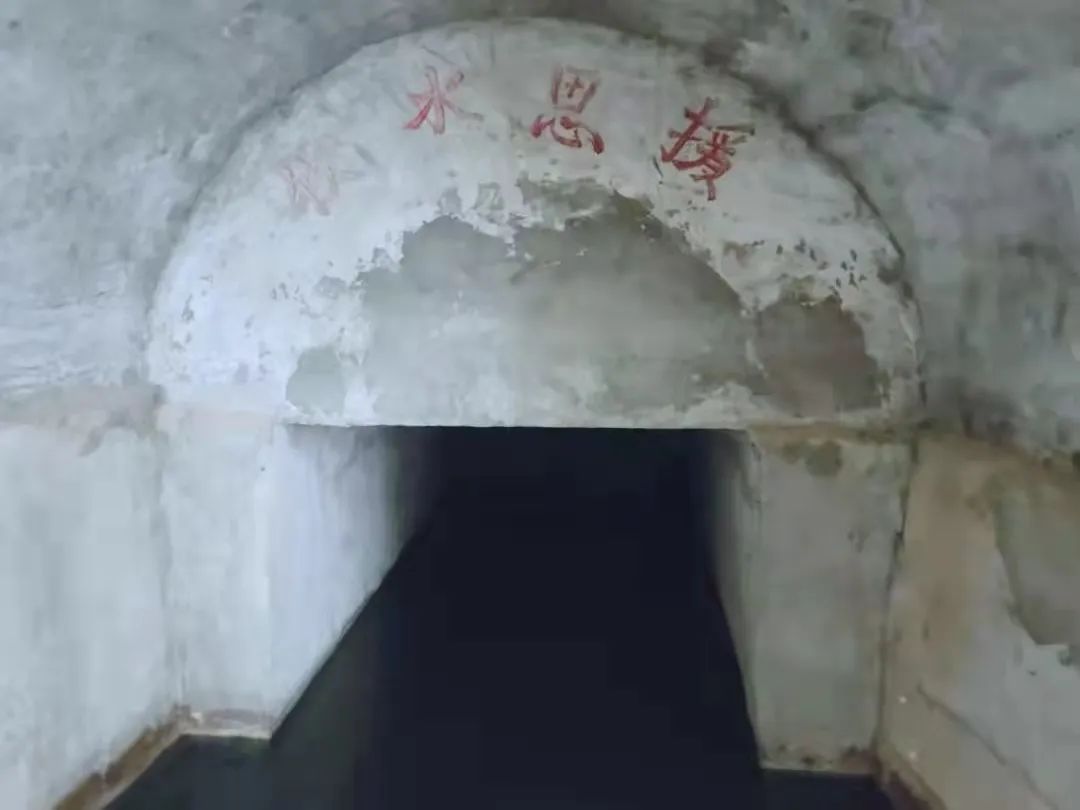 橄榄核手串上什么油_致富经胡桂清橄榄油_橄榄核几天上一次油