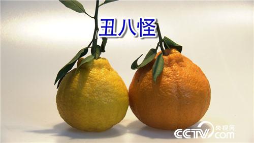 致富经：年轻妈妈两年从负债到年入千万