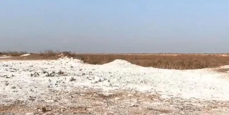 大棚种植致富事迹_种植大棚收入怎么样_发展大棚种植农民增收致富