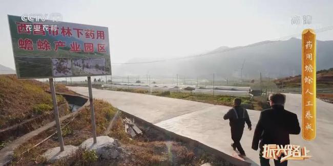 央视七台致富经养蟾蜍_央视七台致富经养蟾蜍_央视七台致富经养蟾蜍