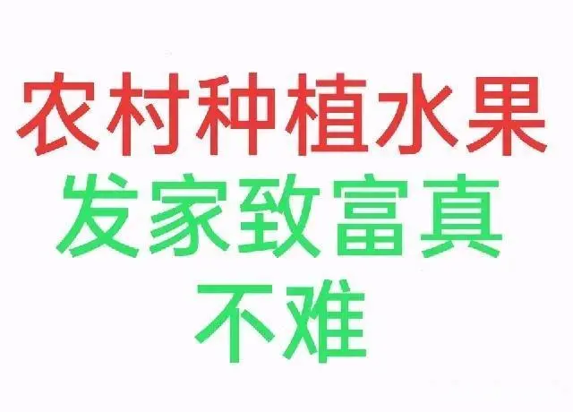 种植致富新项目_种植致富技术_种植致富业