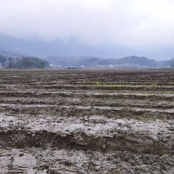 致富经养蛙_致富经钟玉秀养蛙_致富经养牛蛙