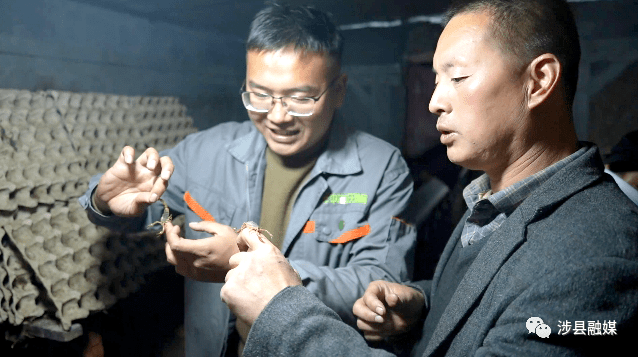 今天我出镜丨与蝎为伴，涉县程雷的养蝎致富经