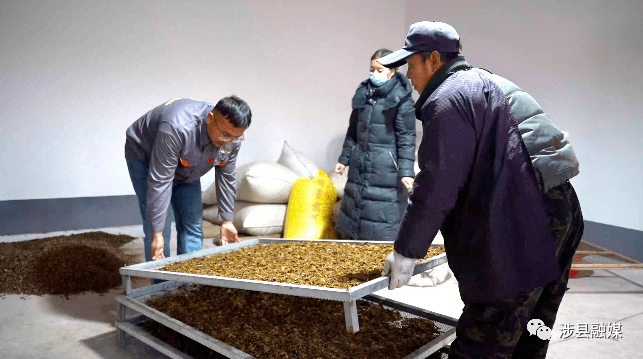 致富松鼠养殖方法_致富经松鼠养殖_养殖松鼠赚钱吗