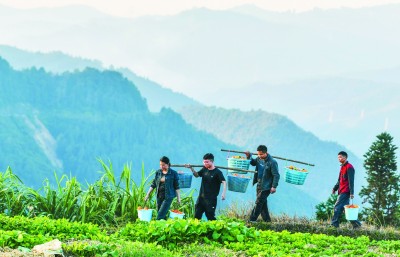 回乡村,做致富路上的“领头雁”