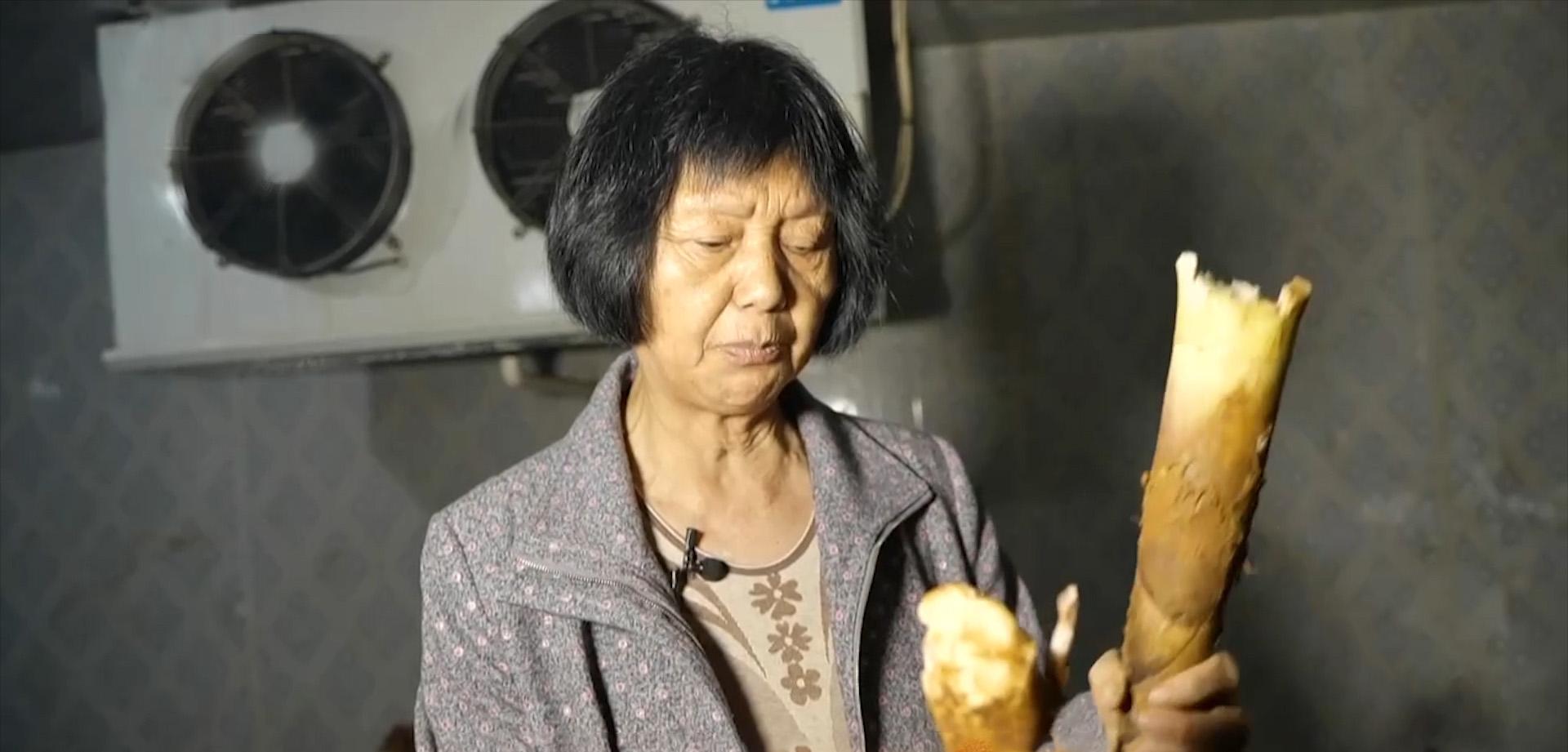 致富竹种植农村有补贴吗_农村种植致富竹_致富竹种植农村可以种吗