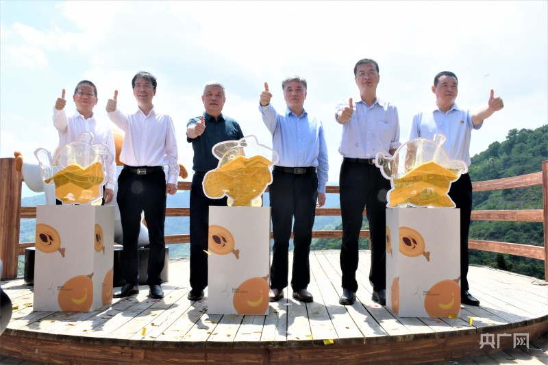 福清市一都镇：“枇杷果”变身乡村振兴“黄金果”