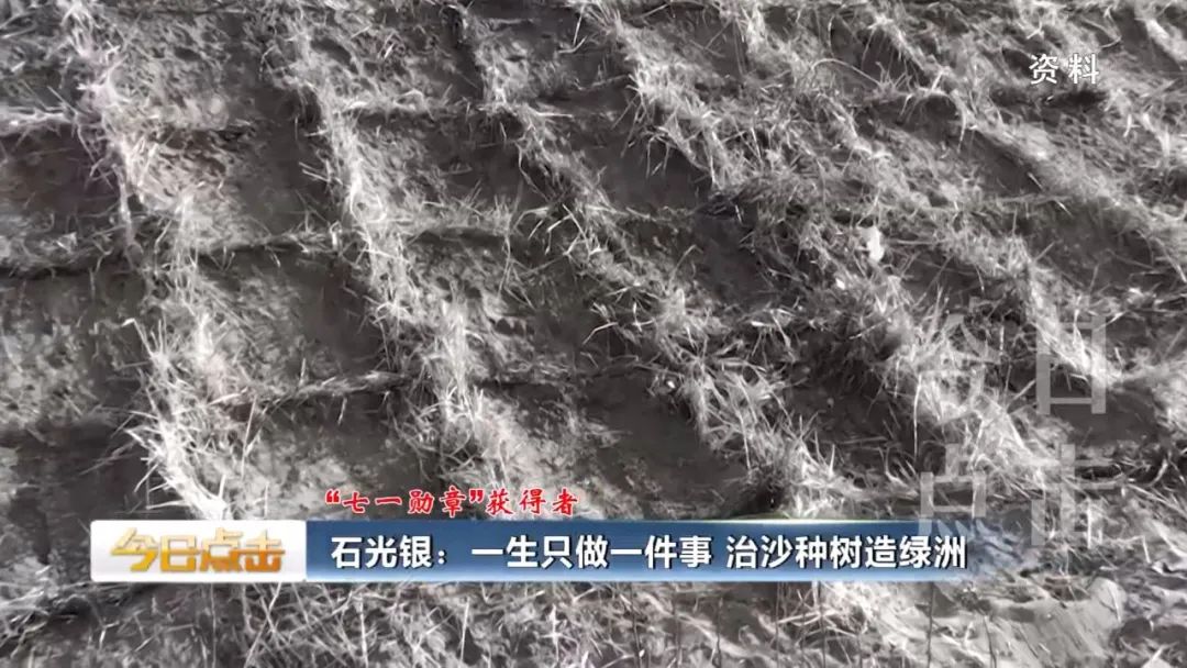 种植致富新项目_种植养殖致富的案例_生态种植致富案例