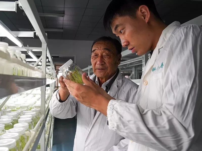 种植养殖致富的案例_生态种植致富案例_种植致富新项目