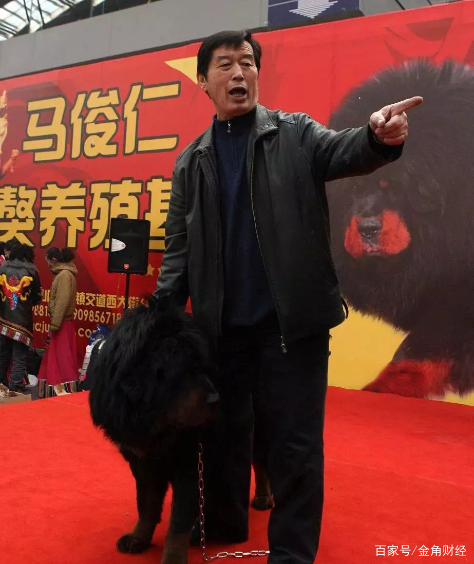 肉狗养殖致富经_致富养殖狗肉图片_狗肉养殖致富