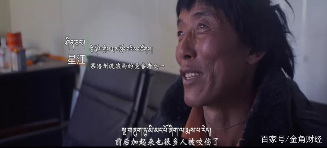 狗肉养殖致富_致富养殖狗肉图片_肉狗养殖致富经