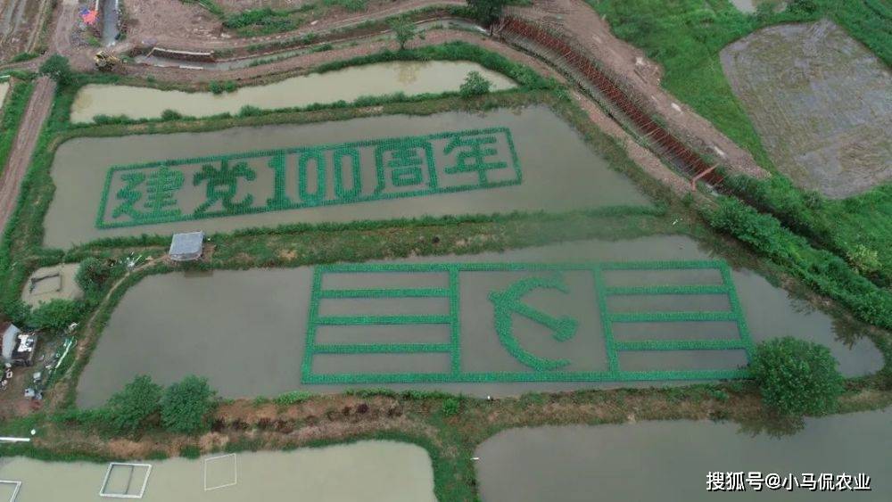 大水面养殖花鲢技术_普丽康300多少钱一支_360借条平台是合法的吗