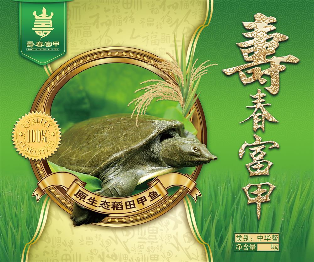 什么是稻田甲鱼养殖技术？