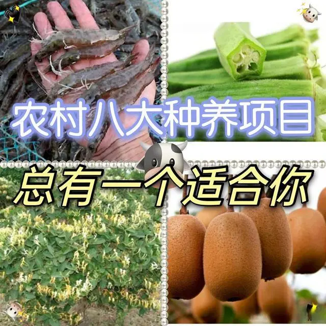 昆虫致富养殖方法图片_昆虫致富养殖方法有哪些_致富方法养殖昆虫