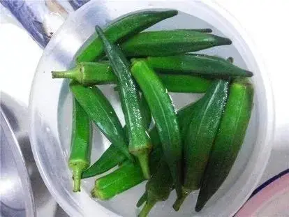 昆虫致富养殖方法图片_昆虫致富养殖方法有哪些_致富方法养殖昆虫