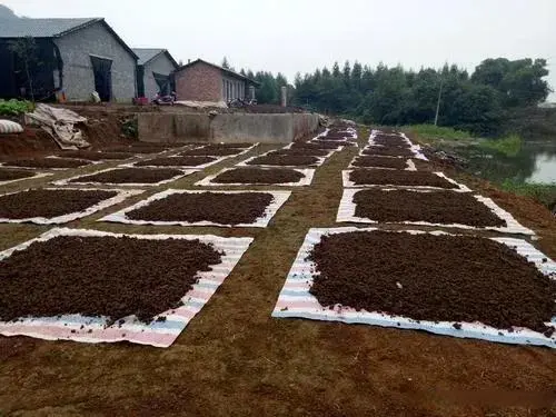 昆虫致富养殖方法图片_昆虫致富养殖方法有哪些_致富方法养殖昆虫