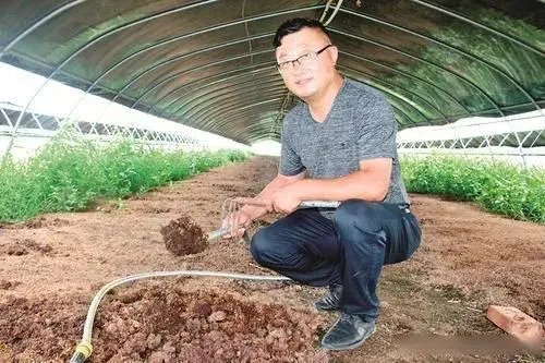 昆虫致富养殖方法有哪些_昆虫致富养殖方法图片_致富方法养殖昆虫