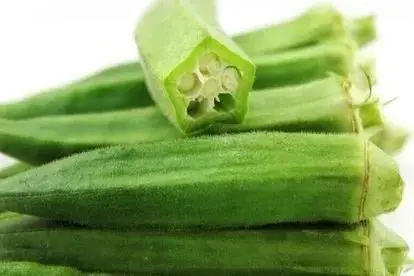 昆虫致富养殖方法有哪些_致富方法养殖昆虫_昆虫致富养殖方法图片