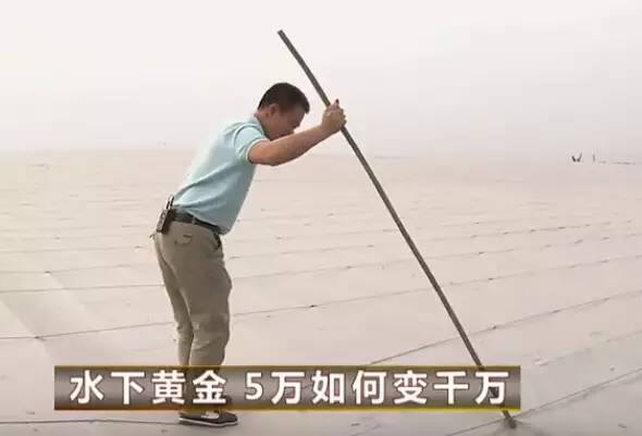 十大致富经养鱼_致富经养鱼视频大全集_养鱼致富经