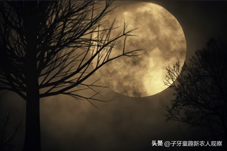 致富经蟒蛇养殖_致富经养蛇大全_致富经养肉蛇