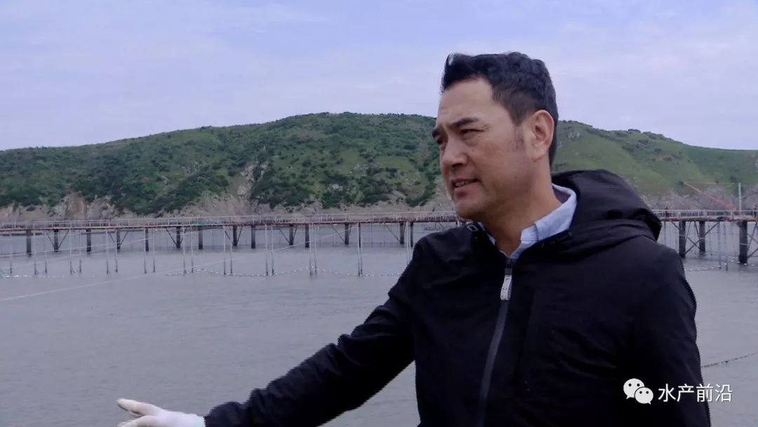 致富大海养殖排鱼怎么样_海上养殖鱼排_致富经大海鱼排养殖